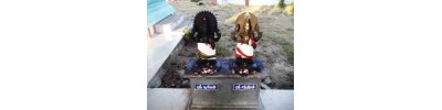கொளத்தூர்